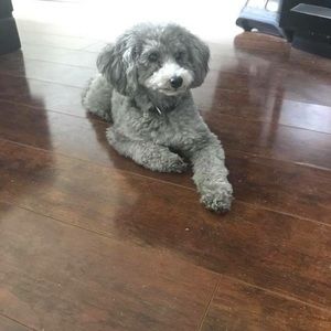 Meet your Posher, Angela